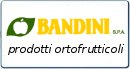 Bandini S.p.a - Prodotti ortofrutticoli - Servizi alla Grande distribuzione organizzata