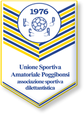 Logo Usap